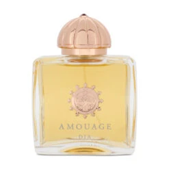 Amouage Dia 100ml Eau De Parfum Pour Femme