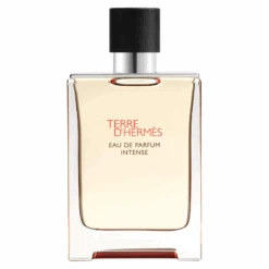 Hermès Hermes Terre D'Hermes Eau De Parfum Intense 100ml